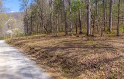 306 Cedar Creek Farm Rd, Tuckasegee, NC 28783