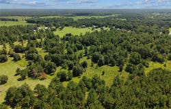 NE 160TH AVE, WILLISTON, FL 32696