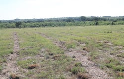 688 Comanche Lake Road, Comanche, TX 76442