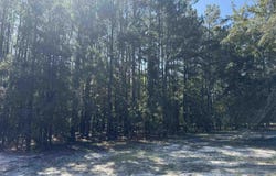 Isaiah Drive lot: 7, Dillon, SC 29536