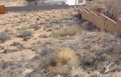 55 Arch Dr, Greenehaven, AZ 86040