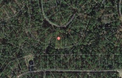 Deergrass Drive lot: 109, Brookeland, TX 75931