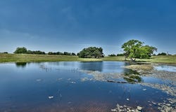 TBD Mode Lane, La Grange, TX 78945