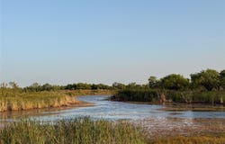 5725 Farm Market 604, Ovalo, TX 79567