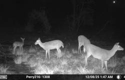 -- US Hwy 98, Beaumont, MS 39423