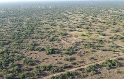 Mendoza Road, Zapata, TX 78076
