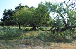 CR 131, Comanche, TX 76857