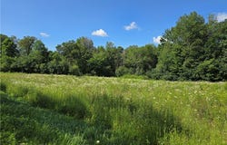 Hemlock Road lot: 8, Eleva, WI 54738