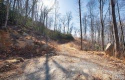Bee Tree Road, Swannanoa, NC 28778