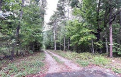 21119 N Hwy 5, Mountain View, AR 72560