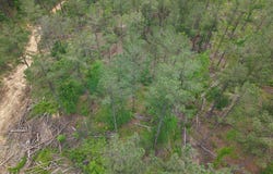 Graysport Crossing Road, Grenada, MS 38901