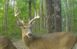 Deer Creek Road lot: 5, Cannelton, IN 47520