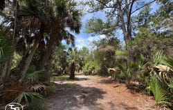 12050 SW Shiloh Rd, Cedar Key, FL 32625