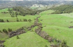 Egypt Loop Rd. E, Davenport, WA 99122
