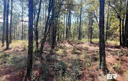 State Highway 225, Bay Minette, AL 36507