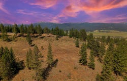 Eagle Feather Road, New Meadows, ID 83654