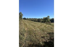 358 Bobtown Garnett Road, Cynthiana, KY 41031