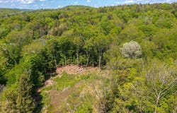 585 Sawmill Road, Wardsboro, VT 05360