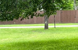 TBD 1st Avenue, COLUMBUS, TX 78934