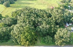 4120 GANDY Road, BARTOW, FL 33830