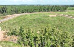 19 Pirates Bend, Florien, LA 71429