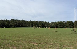 CR 4565, Bivins, TX 75555