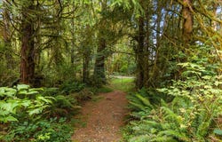 71990 HUTCHINSON Rd, Rainier, OR 97048