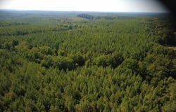 Highway 61, Columbiana, AL 35051