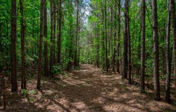 2117 & 2109 Togetherness Way, Mc Bee, SC 29101