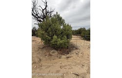 32 ROAD 2581, Aztec, NM 87410