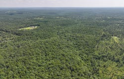 Lynch Drive, Bucyrus, MO 65444