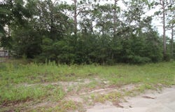 Britton Drive lot: 4, Panacea, FL 32346