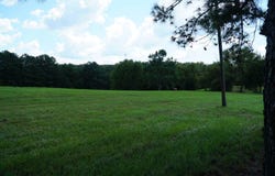 Pounders Sims Rd, Haleyville, AL 35565