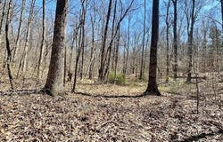 State Ferry Road, Solsberry, IN 47459