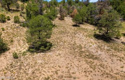3620 ZANE GREY Trail, Overgaard, AZ 85933