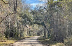 Adolph Kemp Rd, Greenville, FL 32331