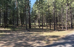 13471 Dahlia, Black Butte Ranch, OR 97759