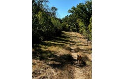 Highway Yy, Cabool, MO 65689