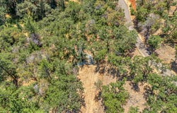 254 Juanita Way, Jacksonville, OR 97530