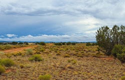 2104 S Avondale Road, Williams, AZ 86046