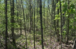N 411 Highway, Eton, GA 30705