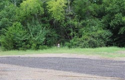 Loop 456 - 14.73 acres, Jacksonville, TX 75766