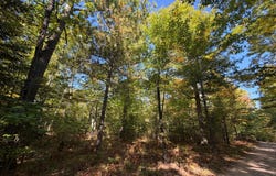 SUNSET LN lot: 1, Eagle River, WI 54521