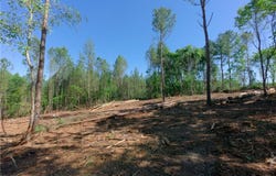 Carson Road, Cleveland, NC 27013
