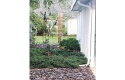 132 Chestnut, Lake Helen, FL 32744