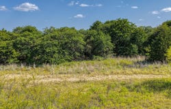 TBD 1 Timber Oaks Lane, Boyd, TX 76023