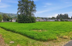 Sires Crossing, Longview, WA 98632