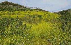 46700 El Prado Road, Temecula, CA 92590