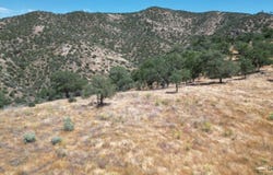 Hill Top Road, Caliente, CA 93518