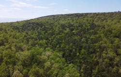 Tract 17 BLACK FORK TRAIL, Nashoba, OK 74558